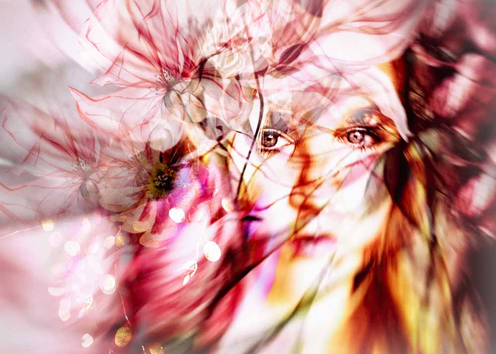 Artist interview with Leanne Trivett S., featuring her artworks.