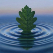 ArtAscent Distinguished Artist of the 2025 Water call for artists.