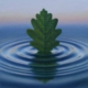ArtAscent Distinguished Artist of the 2025 Water call for artists.