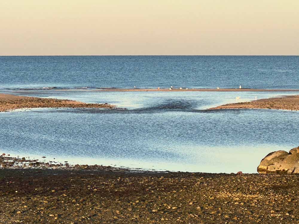 ArtAscent Distinguished Artist of the 2025 Water call for artists.