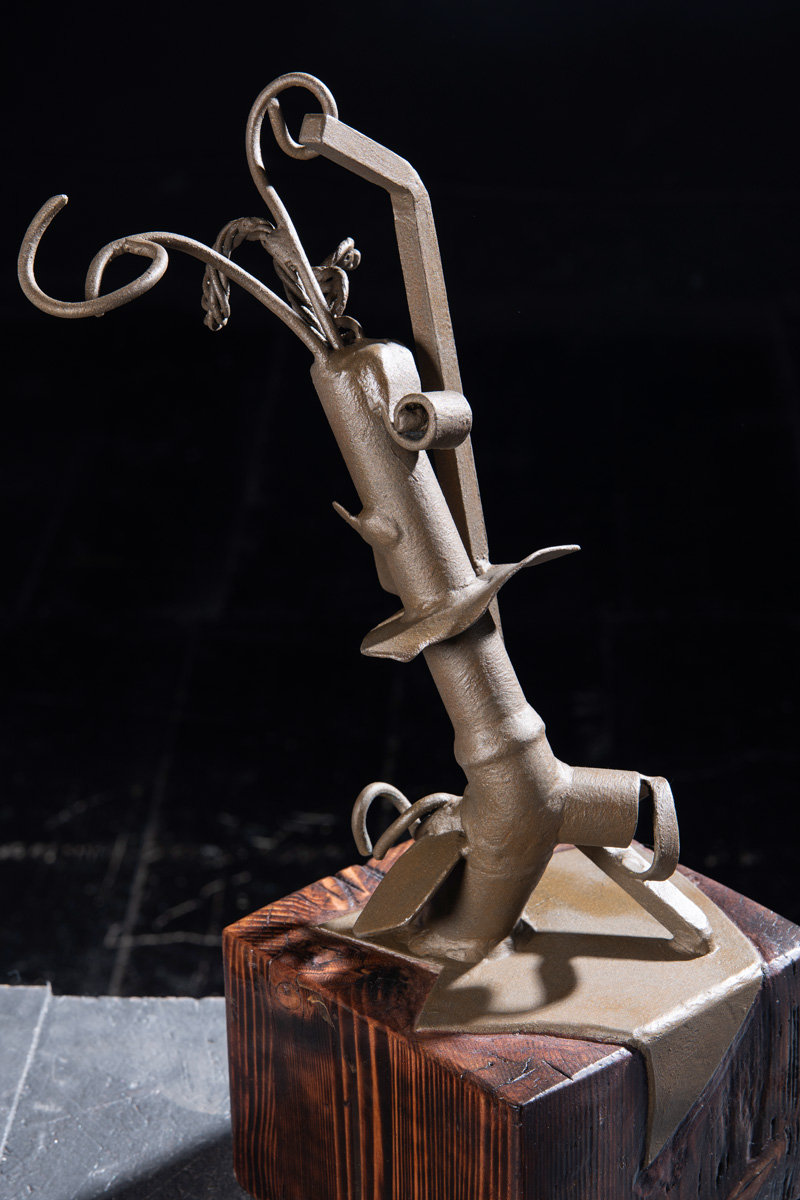 ArtAscent Distinguished Artist of the 2026 Vision call for artists.